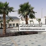 شركة تنسيق حدائق في أبو ظبي