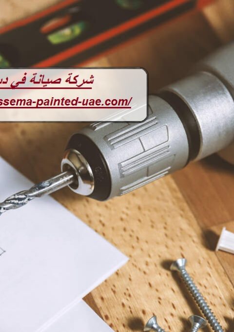 شركة صيانة في دبي